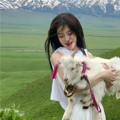 少年特工科迪2